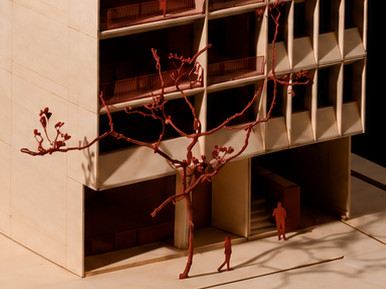 Acceso y árbol rojo. El acceso, la escalera y las figuras a escala muestran cómo se recorre el edificio.